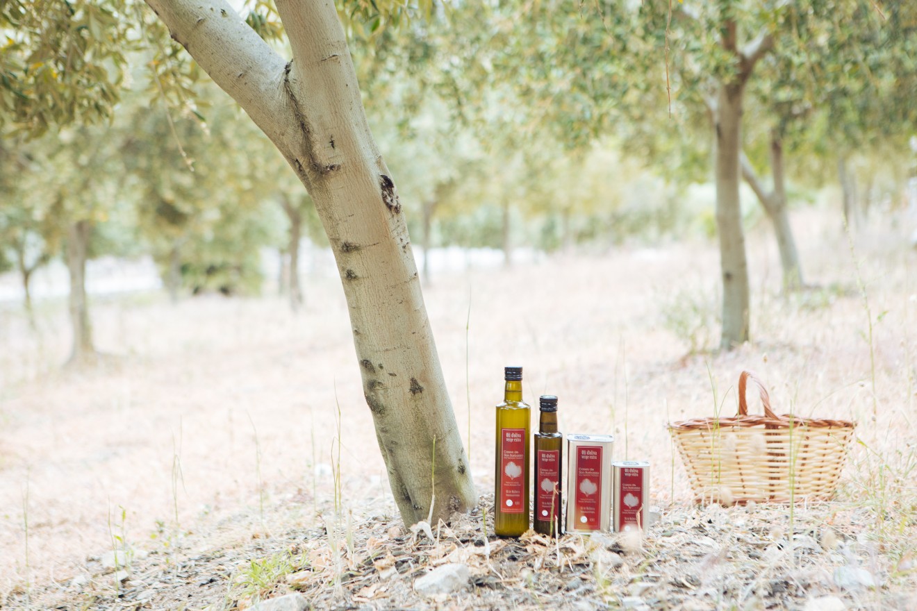 Extra Virgin Olive Oil from Cases de Son Barbassa